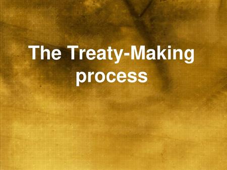 The Treaty-Making process