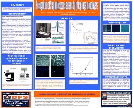 Recognition of Staphylococcus aureus by lytic phage monolayers