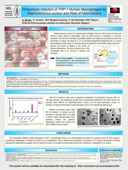 Intracellular Infection of THP-1 Human Macrophages by Staphylococcus aureus and Role of Haemolysins Mailling adresse: Aurélie Olivier.