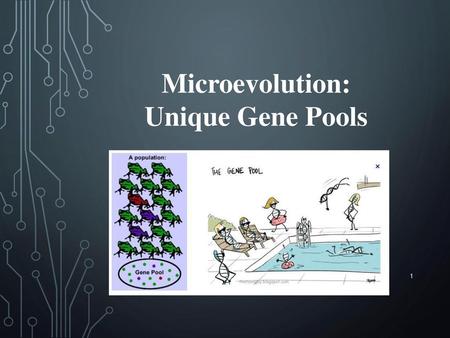 Microevolution: Unique Gene Pools