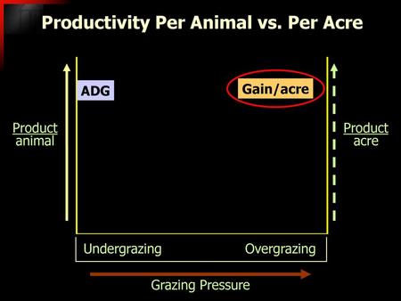 Productivity Per Animal vs. Per Acre