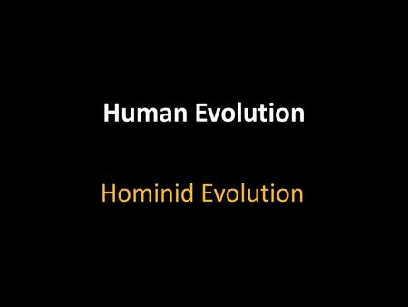 Human Evolution Hominid Evolution.