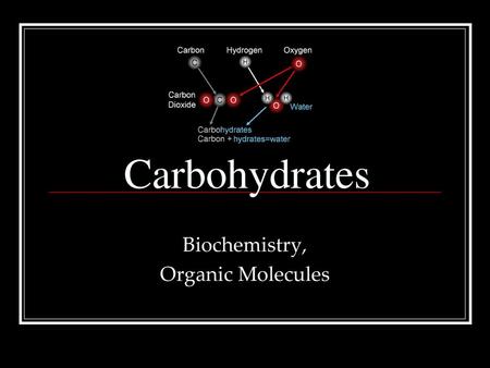 Biochemistry, Organic Molecules