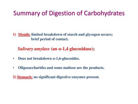 Summary of Digestion of Carbohydrates