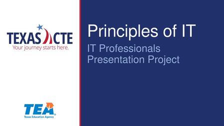 Principles of IT IT Professionals Presentation Project.