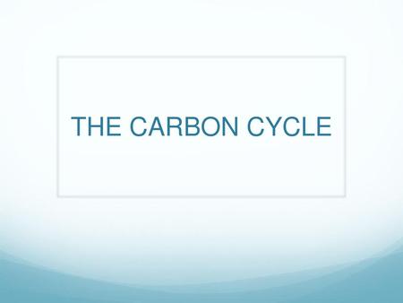 THE CARBON CYCLE.