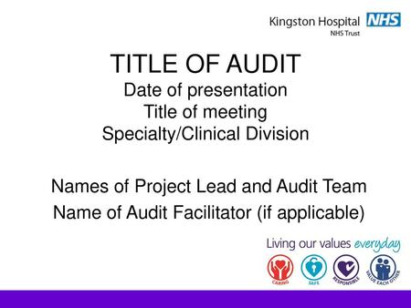 Names of Project Lead and Audit Team