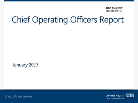 Chief Operating Officers Report