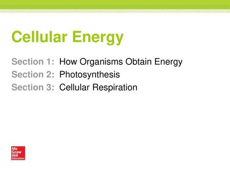 Cellular Energy Section 1: How Organisms Obtain Energy