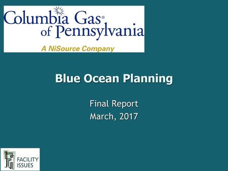 Blue Ocean Planning Final Report March, 2017.