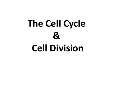 The Cell Cycle & Cell Division