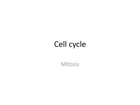 Cell cycle Mitosis.