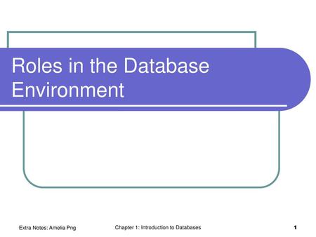 Roles in the Database Environment