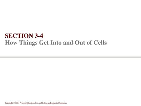 SECTION 3-4 How Things Get Into and Out of Cells