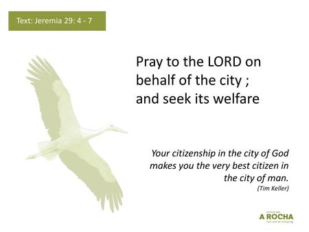 Pray to the LORD on behalf of the city ; and seek its welfare