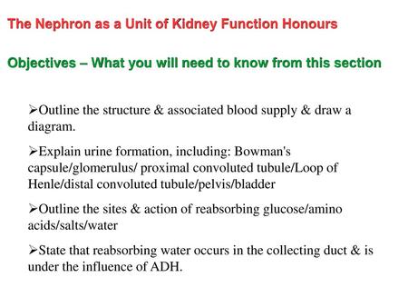 The Nephron as a Unit of Kidney Function Honours