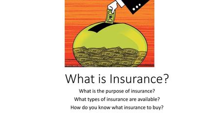 What is Insurance? What is the purpose of insurance?