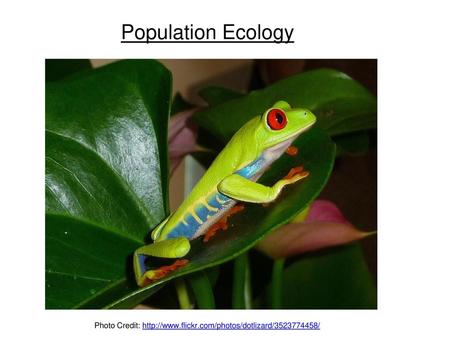 Population Ecology Photo Credit: http://www.flickr.com/photos/dotlizard/3523774458/