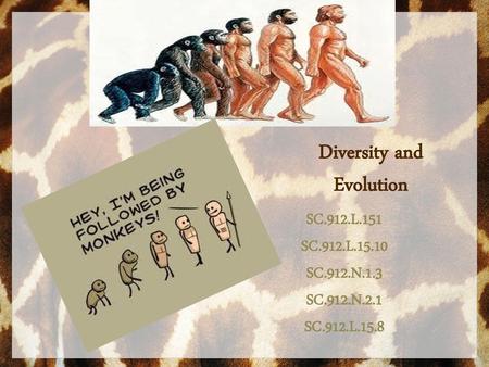 Diversity and Evolution