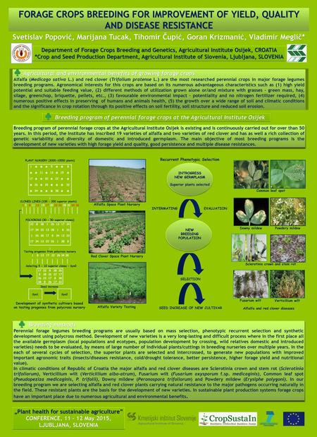 FORAGE CROPS BREEDING FOR IMPROVEMENT OF YIELD, QUALITY AND DISEASE RESISTANCE Svetislav Popović, Marijana Tucak, Tihomir Čupić, Goran Krizmanić, Vladimir.