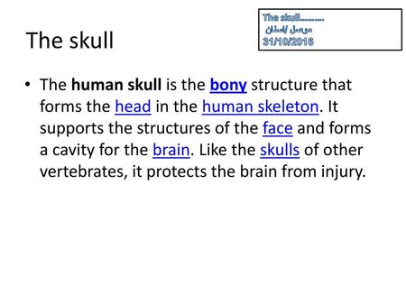 The skull………. موصل /اسنان 31/10/2016 The skull