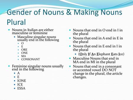 Gender of Nouns & Making Nouns Plural