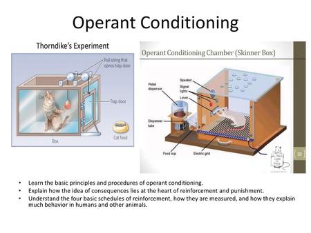 Operant Conditioning Learn the basic principles and procedures of operant conditioning. Explain how the idea of consequences lies at the heart of reinforcement.