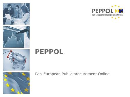 Pan-European Public procurement Online