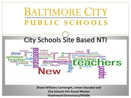 City Schools Site Based NTI