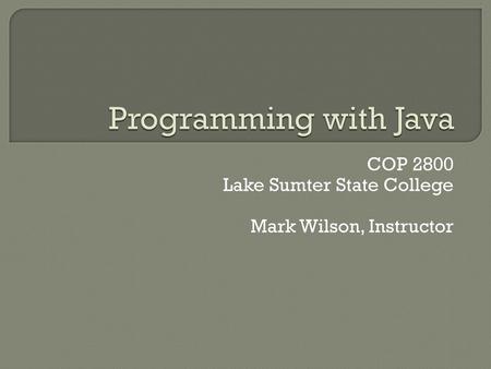COP 2800 Lake Sumter State College Mark Wilson, Instructor