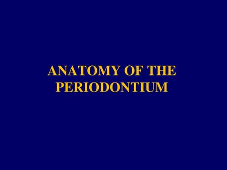 ANATOMY OF THE PERIODONTIUM