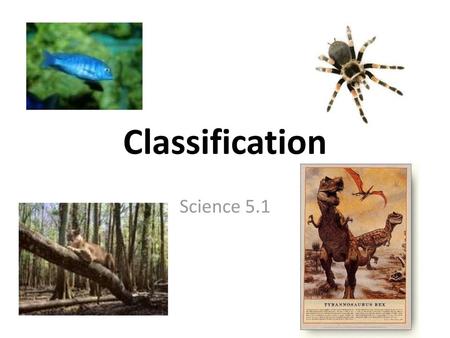 Classification Science 5.1.