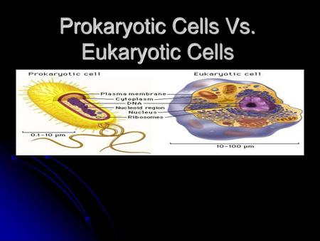 Prokaryotic Cells Vs. Eukaryotic Cells