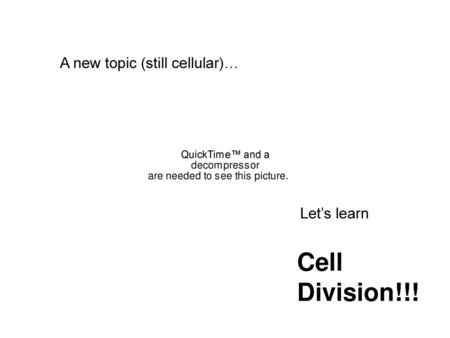 A new topic (still cellular)…