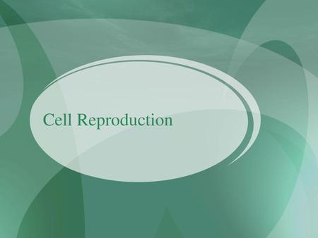 Cell Reproduction.