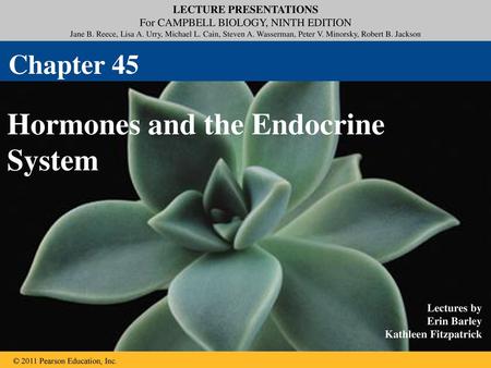 Hormones and the Endocrine System