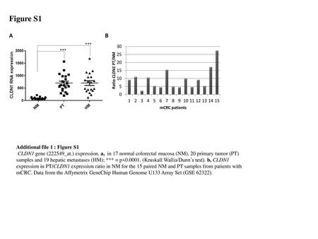 Figure S1 A B Additional file 1 : Figure S1