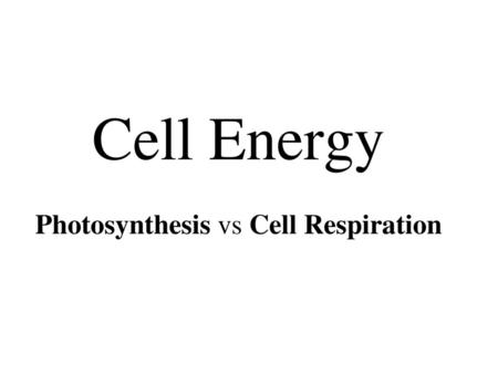 Cell Energy Photosynthesis vs Cell Respiration