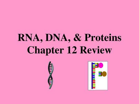 RNA, DNA, & Proteins Chapter 12 Review