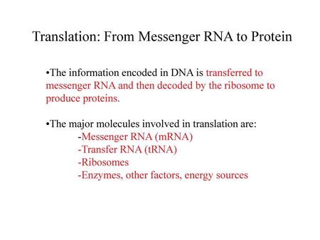 Translation: From Messenger RNA to Protein