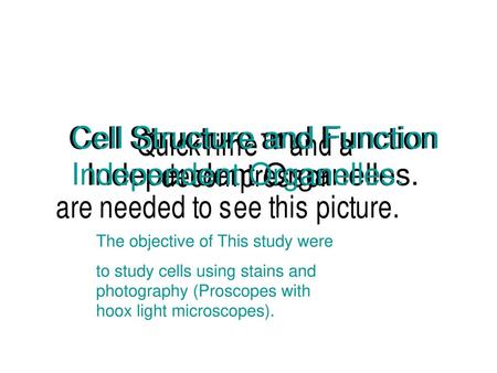 Cell Structure and Function Independent Organelles.