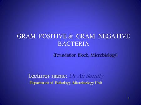 GRAM POSITIVE & GRAM NEGATIVE BACTERIA