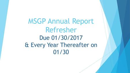 MSGP Annual Report The Annual Report consists of: