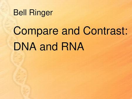 Compare and Contrast: DNA and RNA