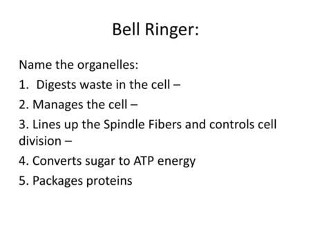 Bell Ringer: Name the organelles: Digests waste in the cell –