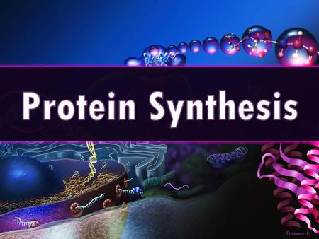 Protein Synthesis Przeworski.