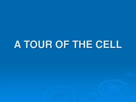 A TOUR OF THE CELL.