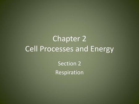 Chapter 2 Cell Processes and Energy