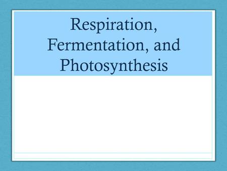 Respiration, Fermentation, and Photosynthesis