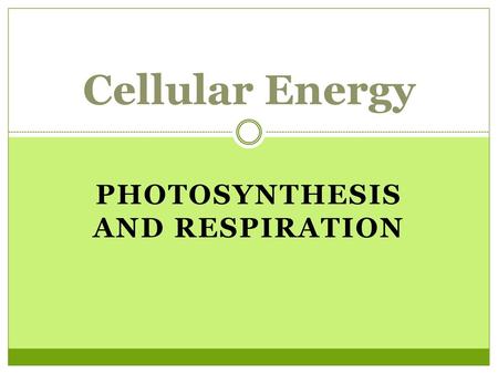 Photosynthesis and Respiration